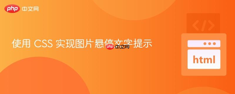 使用 CSS 实现图片悬停文字提示