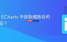 如何从 ECharts 中获取缩放后的 X 轴标签?