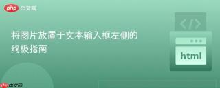 将图片放置于文本输入框左侧的终极指南