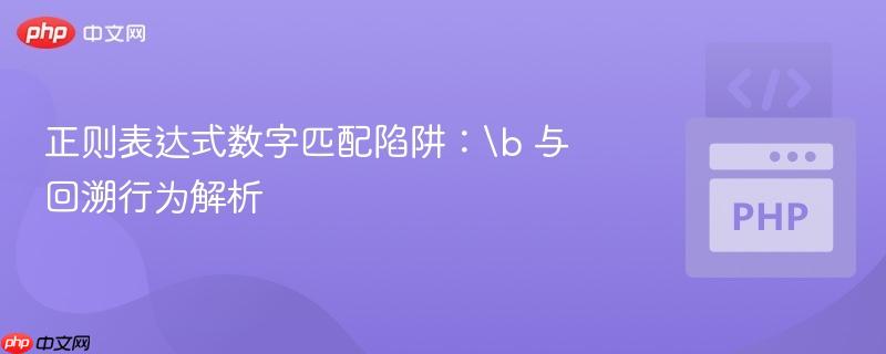 正则表达式数字匹配陷阱:\b 与回溯行为解析