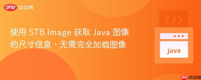 使用 STB Image 获取 Java 图像的尺寸信息，无需完全加载图像
