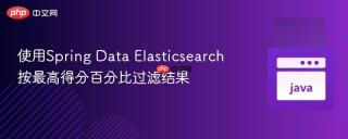 使用Spring Data Elasticsearch按最高得分百分比过滤结果