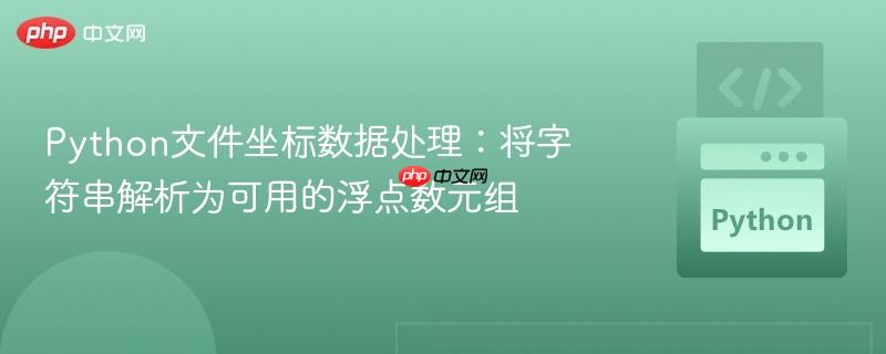 Python文件坐标数据处理:将字符串解析为可用的浮点数元组