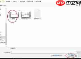 pr导出视频显示错误代码99的原因