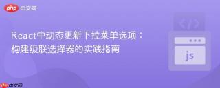 React中动态更新下拉菜单选项：构建级联选择器的实践指南
