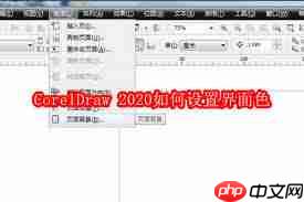 CorelDraw 2020怎么设置界面颜色