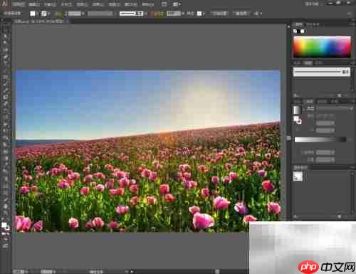 ai导出psd文件的简便方法