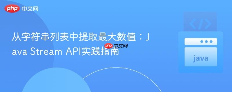 从字符串列表中提取最大数值：Java Stream API实践指南

