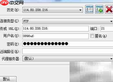 FTP下载与文件管理指南