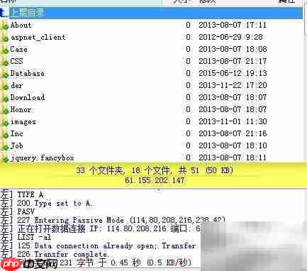 FTP下载与文件管理指南
