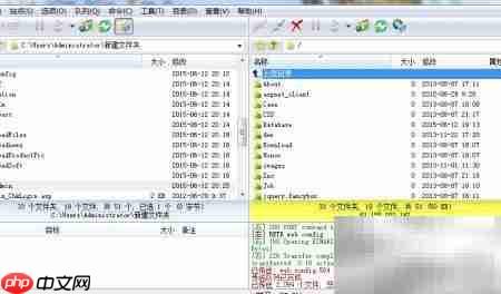 FTP下载与文件管理指南