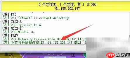 FTP下载与文件管理指南