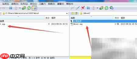 FTP下载与文件管理指南