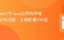 解决IntelliJ中Java应用程序堆内存不足的问题:正确配置VM选项
