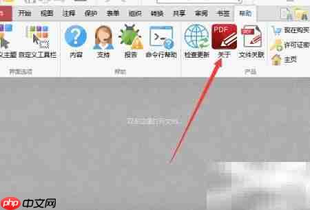 PDF-xchange页面空白加载失败