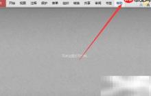 PDF-xchange页面空白加载失败