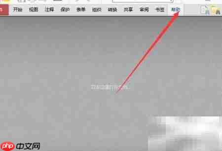 PDF-xchange页面空白加载失败