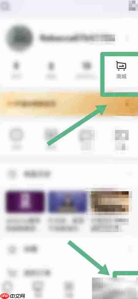 央视频商城文创购买指南