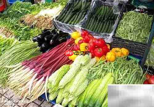 品牌与市场维护策略