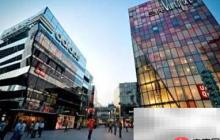 猫咖开店全攻略