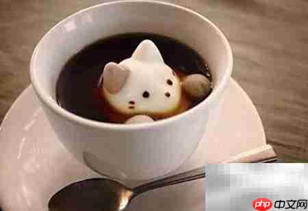 猫咖开店全攻略