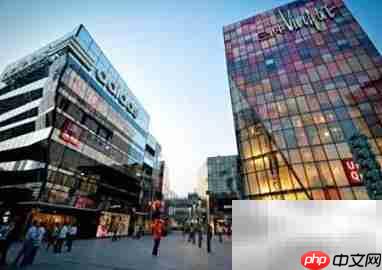 猫咖开店全攻略