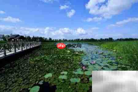 大庆必去的8大景点推荐