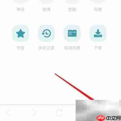 Dark Browser搜索引擎设置方法