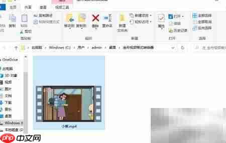 FLV文件用什么播放器打开