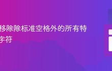Java中移除除标准空格外的所有特殊空白字符