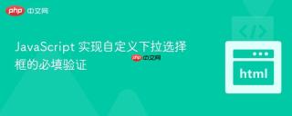 JavaScript 实现自定义下拉选择框的必填验证