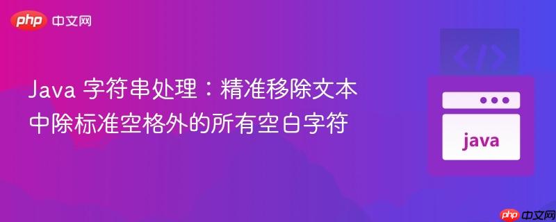 Java 字符串处理：精准移除文本中除标准空格外的所有空白字符
