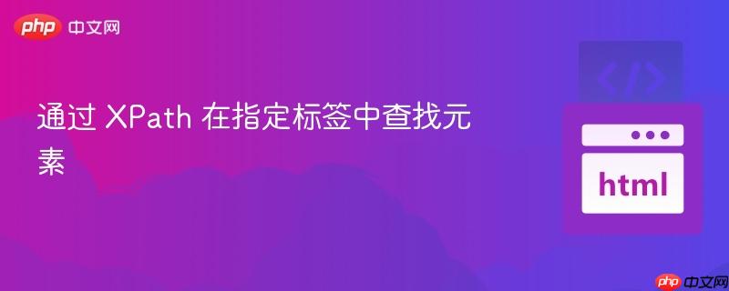 通过 XPath 在指定标签中查找元素