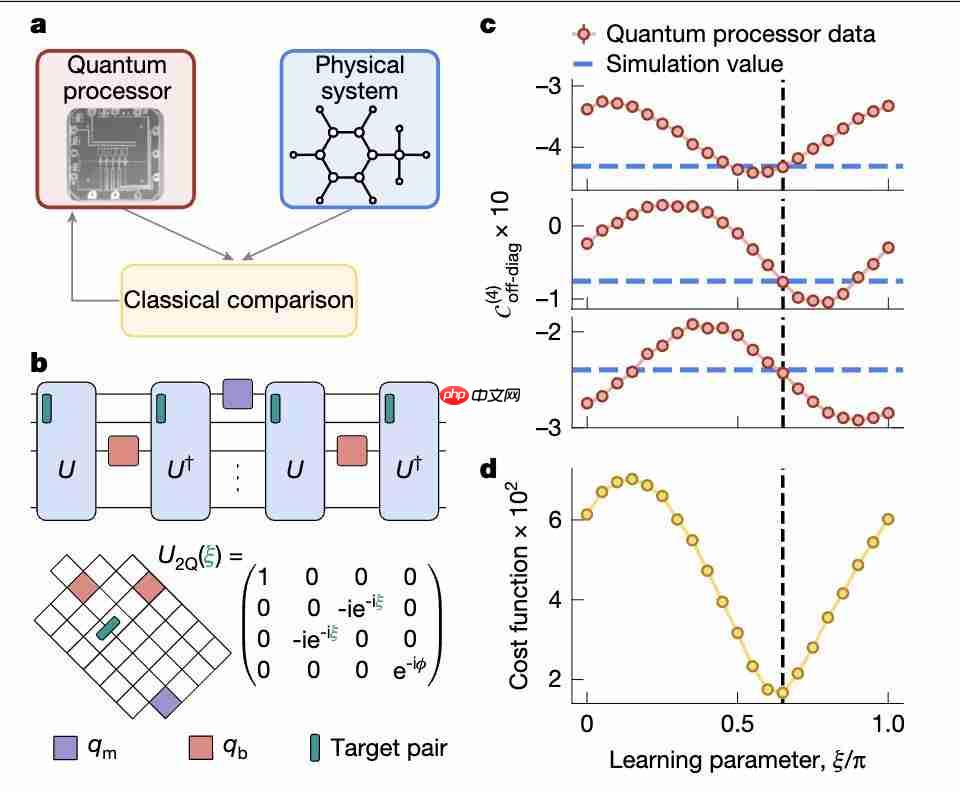  刚拿诺奖就登 Nature 封面！谷歌“量子回声”算法计算提速 13000 倍，可重复验证结果 