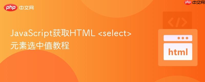 JavaScript获取HTML <select> 元素选中值教程