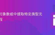 从嵌套对象数组中提取特定类型元素的教程