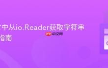 Go语言中从io.Reader获取字符串的实践指南