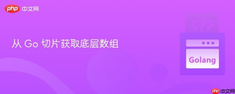 从 Go 切片获取底层数组 从 Go 切片获取底层数组