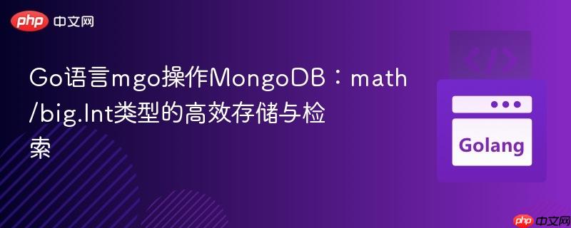 Go语言mgo操作MongoDB:math/big.Int类型的高效存储与检索