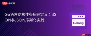 Go语言结构体多标签定义：BSON与JSON序列化实践