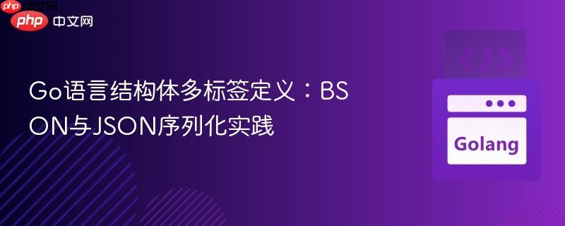 Go语言结构体多标签定义:BSON与JSON序列化实践