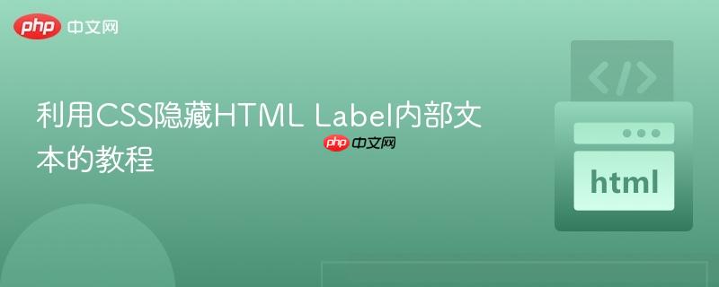 利用CSS隐藏HTML Label内部文本的教程