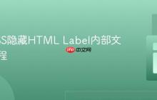 利用CSS隐藏HTML Label内部文本的教程