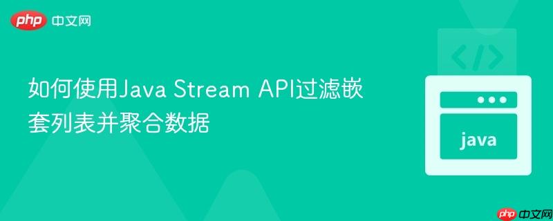 如何使用Java Stream API过滤嵌套列表并聚合数据