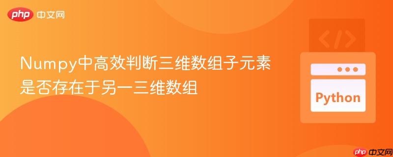 Numpy中高效判断三维数组子元素是否存在于另一三维数组
