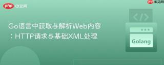 Go语言中获取与解析Web内容：HTTP请求与基础XML处理