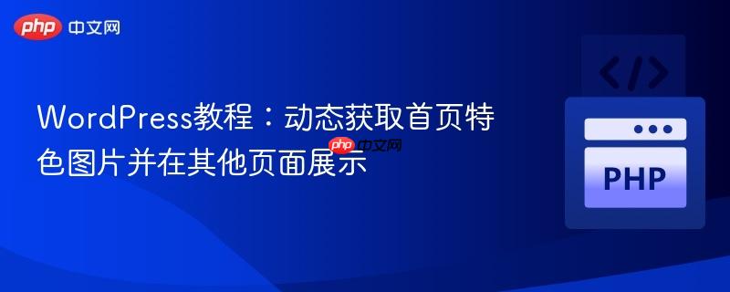 WordPress教程:动态获取首页特色图片并在其他页面展示