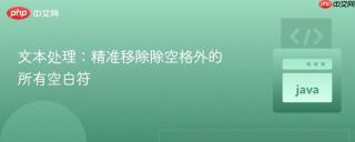 文本处理：精准移除除空格外的所有空白符