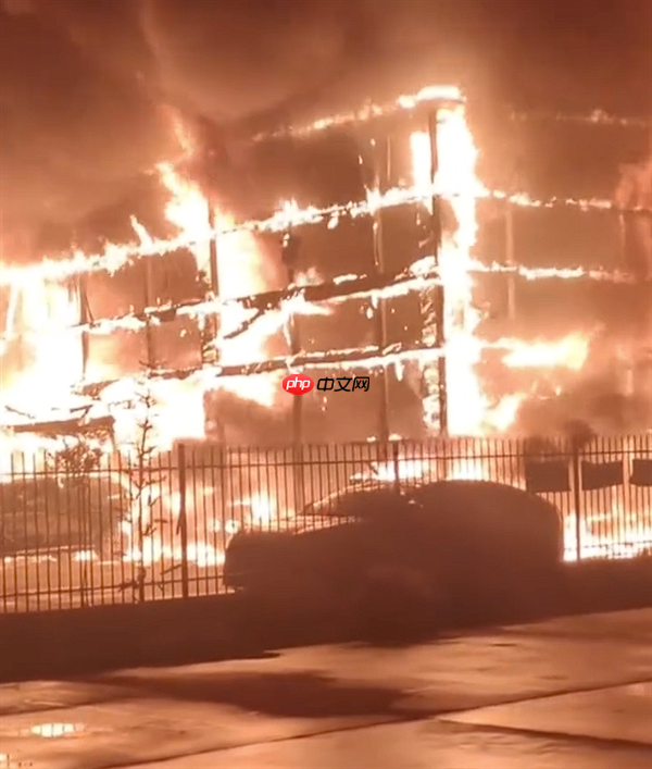 阜阳一长安4S店凌晨燃起大火多车被烧:原因不明