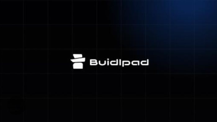 上线4个项目均登陆币安,加密募资平台Buidlpad崛起的关键是什么?简单分析